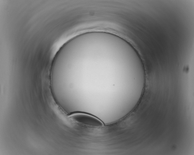 X0000112861530200909111457