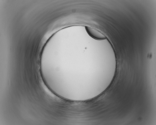 X0000112861531200909111457