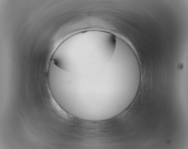 X0000112861532200909111457