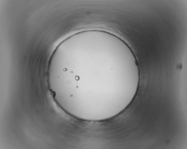 X0000112861534200909111457