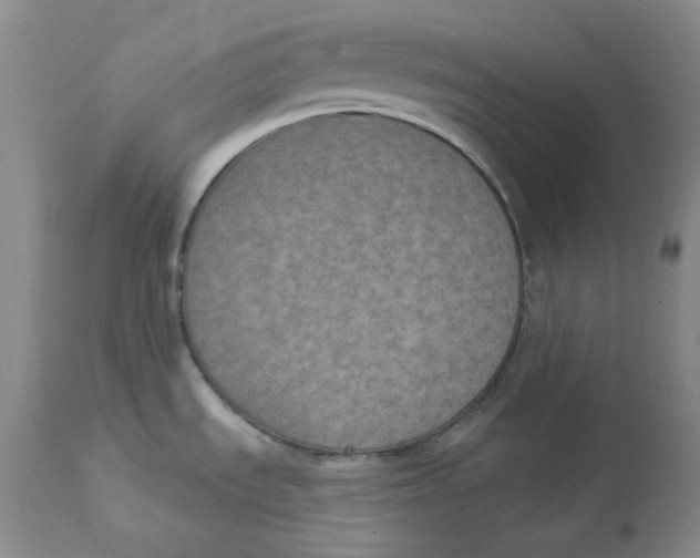 X0000112861535200909111457