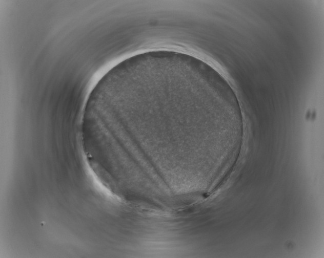 X0000112861536200909111457