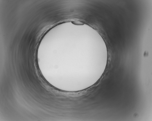 X0000112860001200909181812