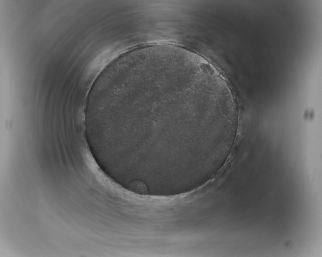 X0000112860002200909181812