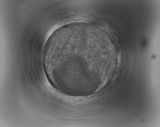 X0000112860003200909181812