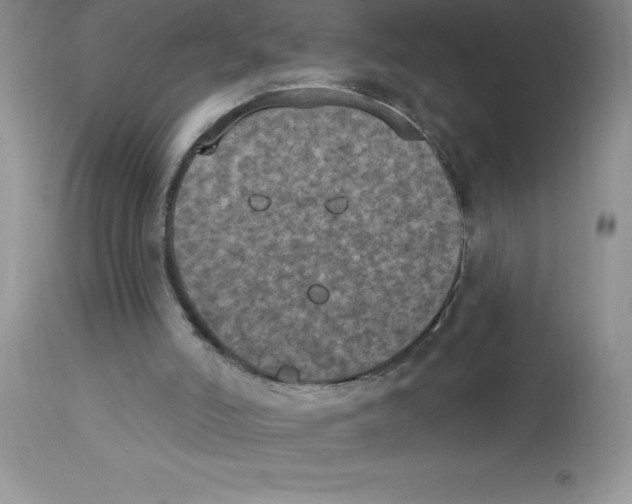 X0000112860006200909181812