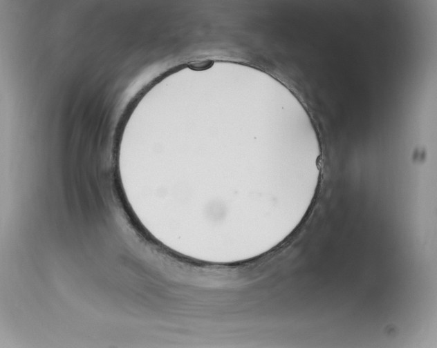 X0000112860008200909181812