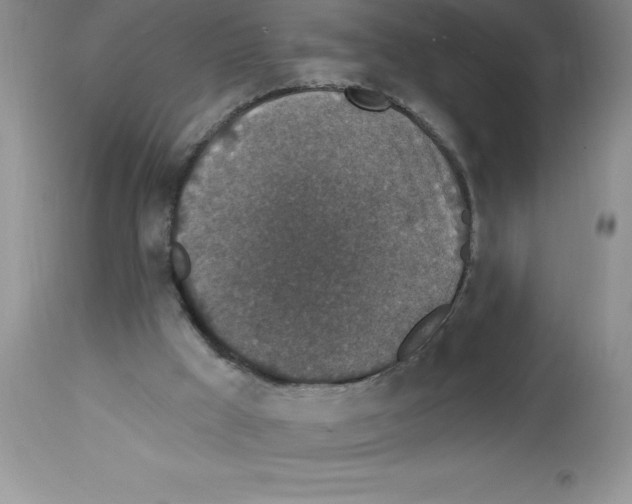 X0000112860009200909181812