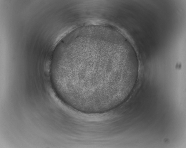 X0000112860010200909181812