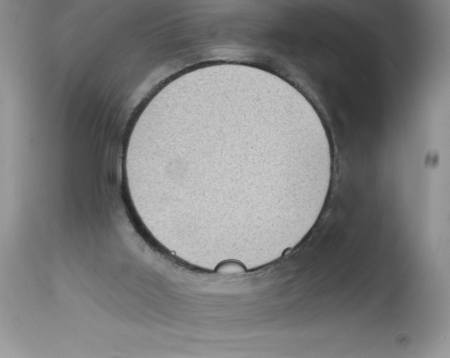 X0000112860011200909181812