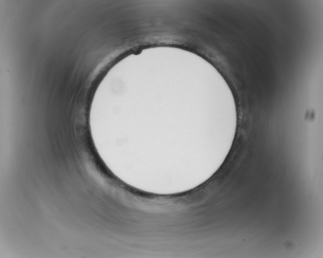 X0000112860012200909181812