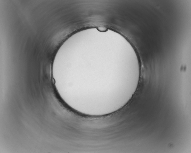 X0000112860013200909181811