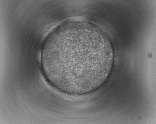 X0000112860014200909181811