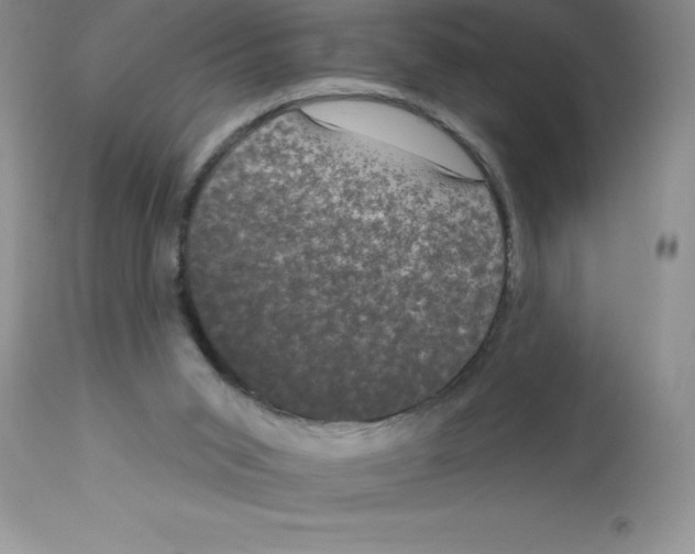 X0000112860015200909181811