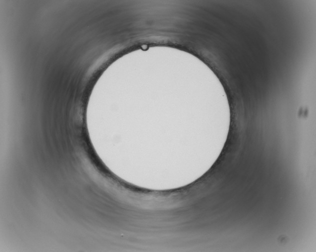 X0000112860016200909181811