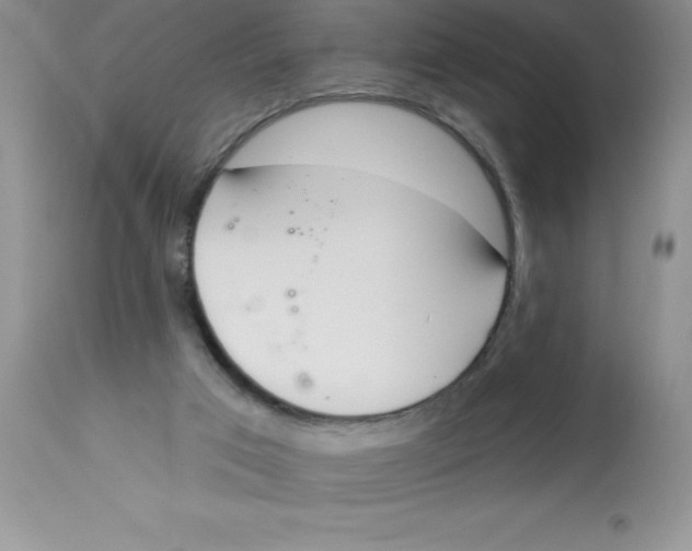 X0000112860017200909181811