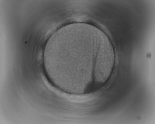 X0000112860018200909181811
