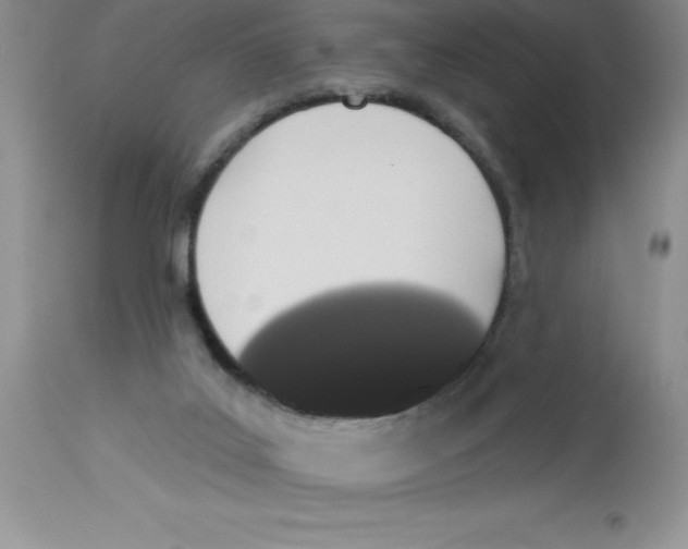 X0000112860019200909181811