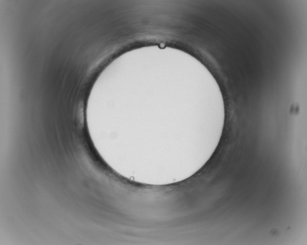 X0000112860020200909181811