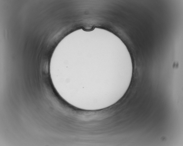 X0000112860021200909181811