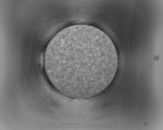 X0000112860022200909181811