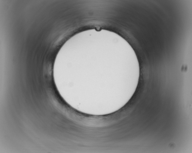 X0000112860024200909181811