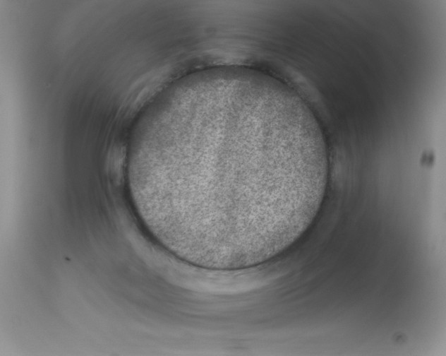 X0000112860026200909181811