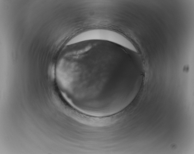 X0000112860027200909181811