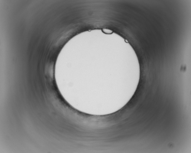 X0000112860028200909181811