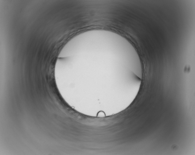 X0000112860029200909181811