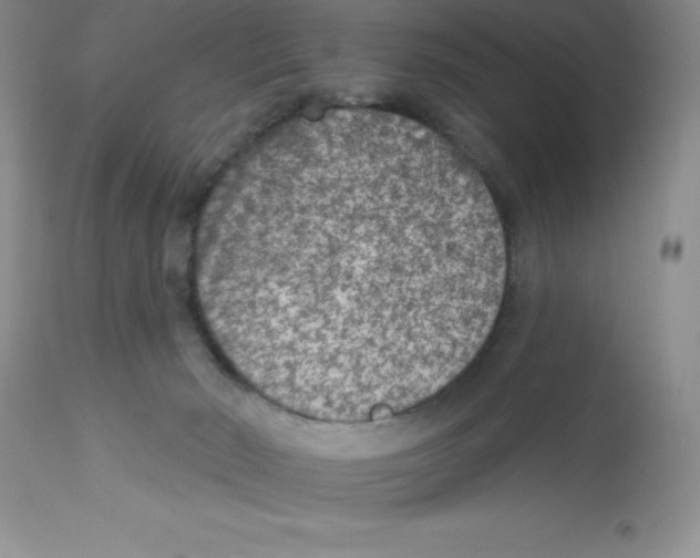 X0000112860030200909181811