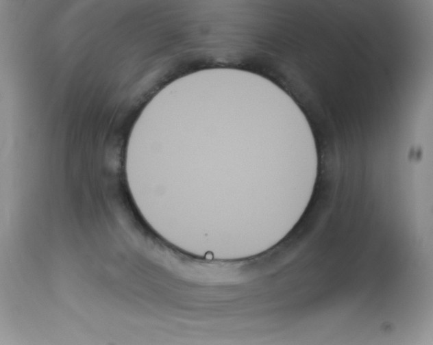 X0000112860032200909181811