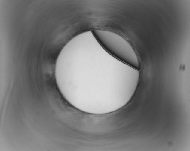 X0000112860033200909181811