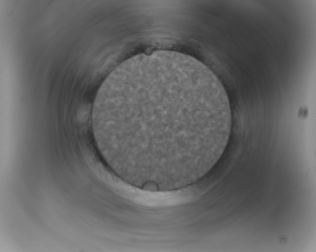 X0000112860034200909181811