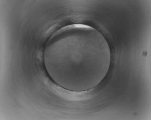 X0000112860035200909181811