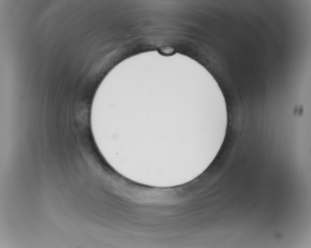 X0000112860036200909181811