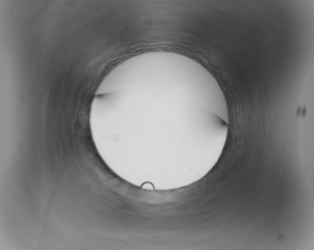 X0000112860037200909181811