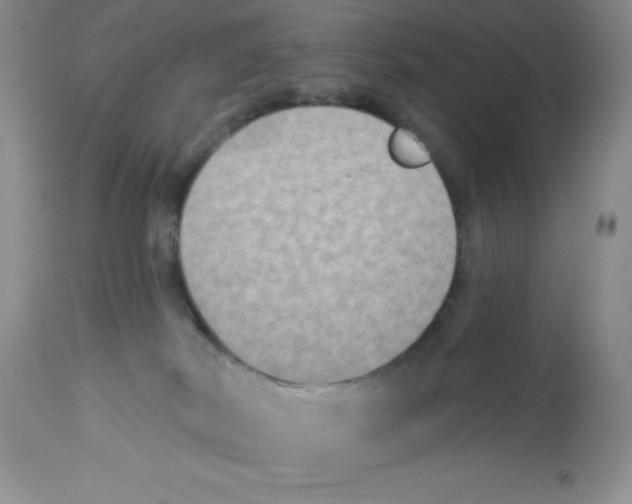 X0000112860038200909181811