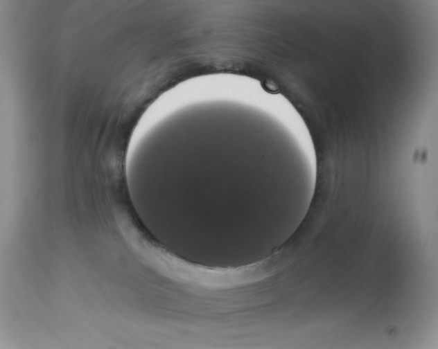 X0000112860039200909181811