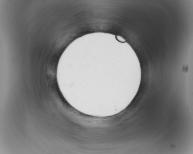 X0000112860040200909181811