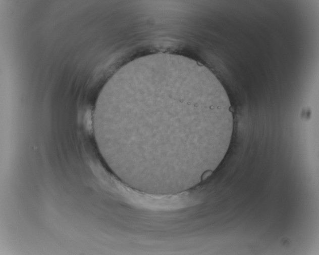 X0000112860042200909181811