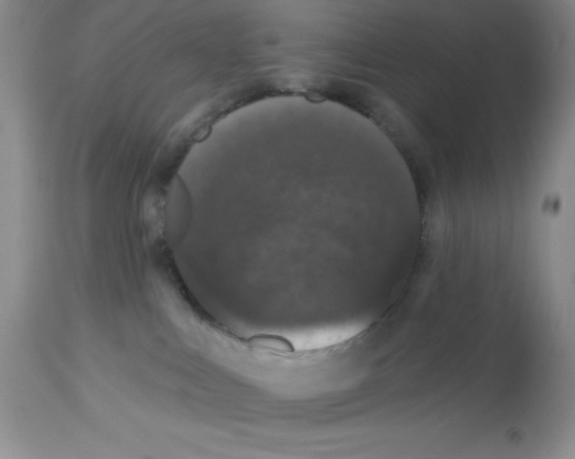 X0000112860043200909181811