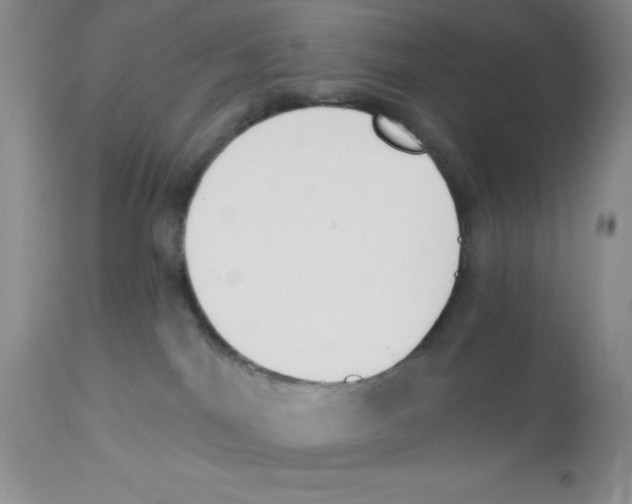 X0000112860044200909181811