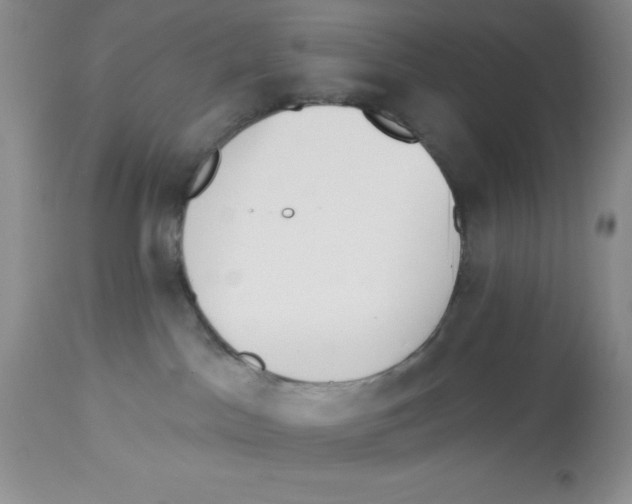 X0000112860045200909181811