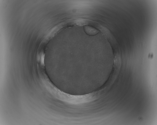 X0000112860046200909181811