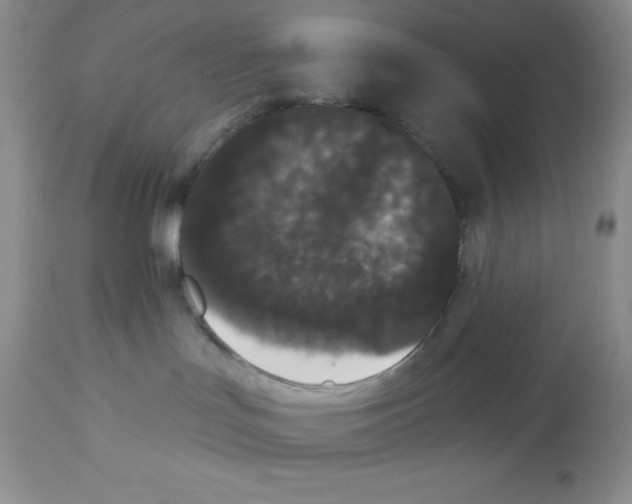 X0000112860047200909181811