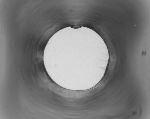 X0000112860048200909181811