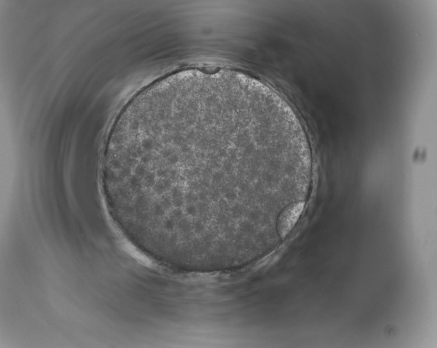 X0000112860049200909181810