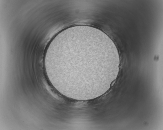 X0000112860050200909181810