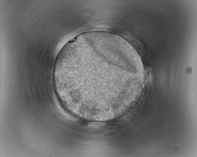 X0000112860051200909181810